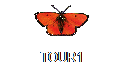 TOUR1