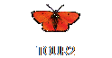 TOUR2